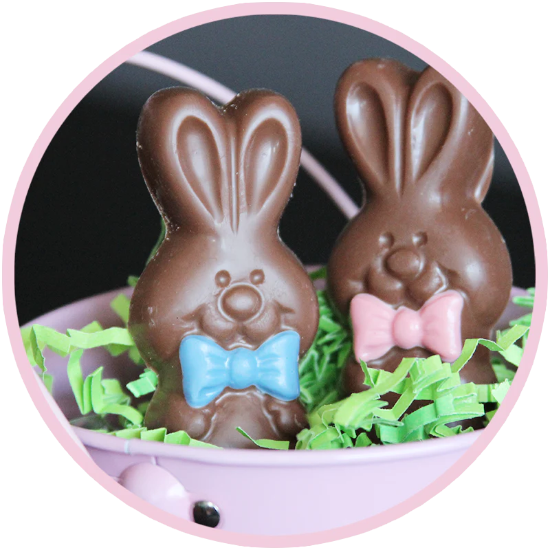 Easter Chocolate Bunny