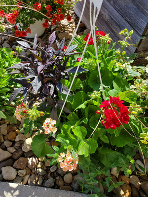 Hanging Flower Basket