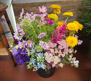 Bulk Flower Bucket, Florist's Choice