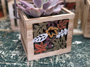 Wooden Cut-Out Container with Succulent