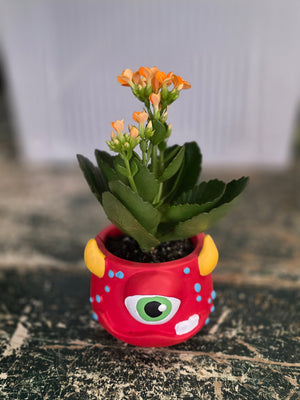 Mini Kalanchoe in Monster Planter