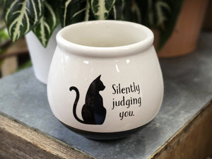 Cat Planter with Succulent or Plant (3 Designs)