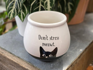 Cat Planter with Succulent or Plant (3 Designs)