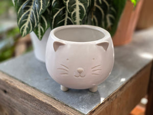 Ceramic Cat Planter with Plant