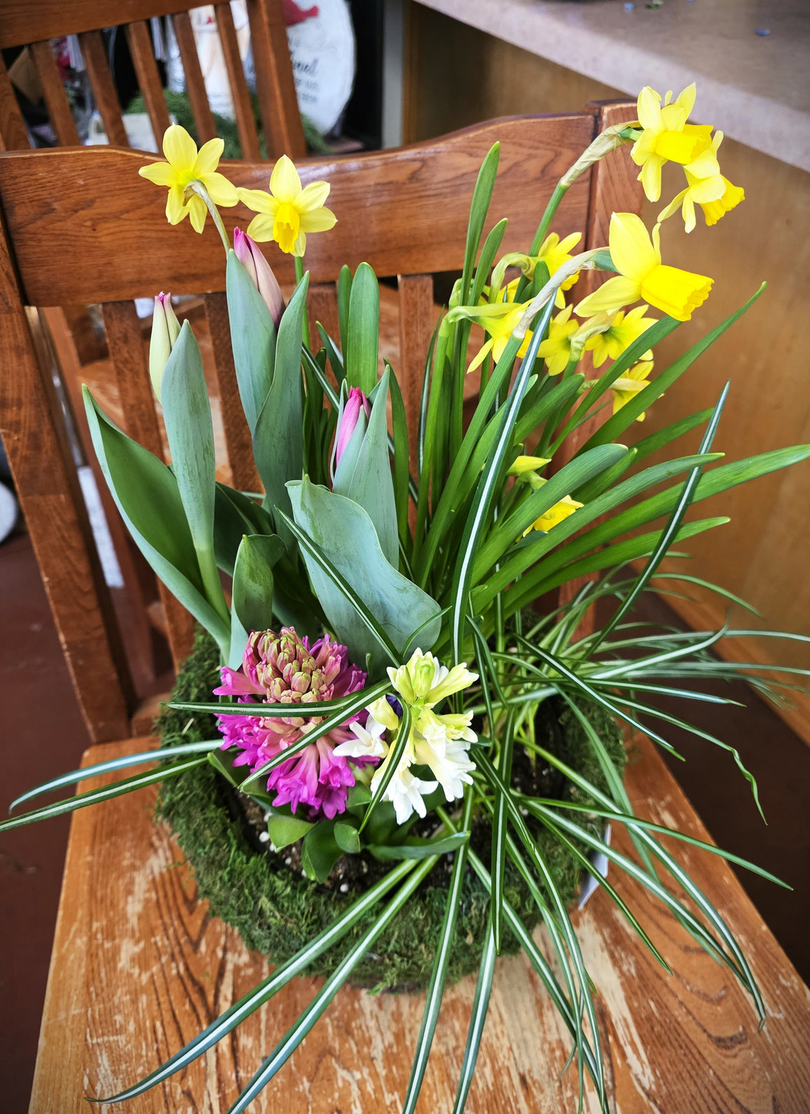 Spring Mix Bulb Garden