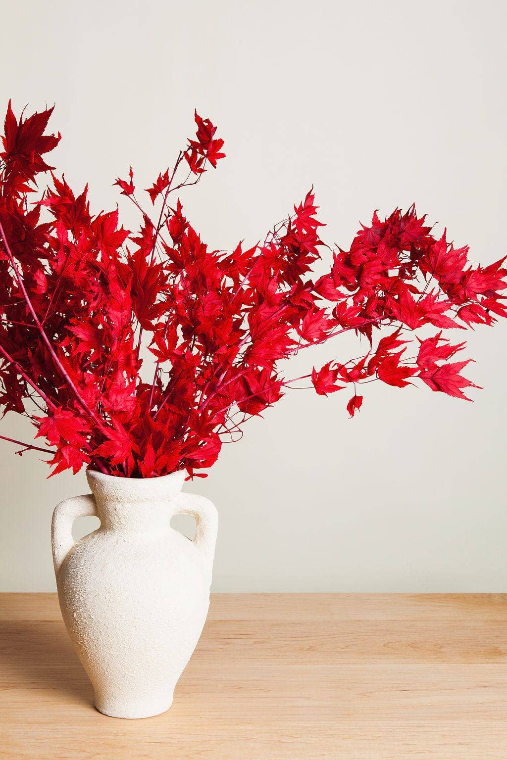 Preserved Red Japanese Maple Branches