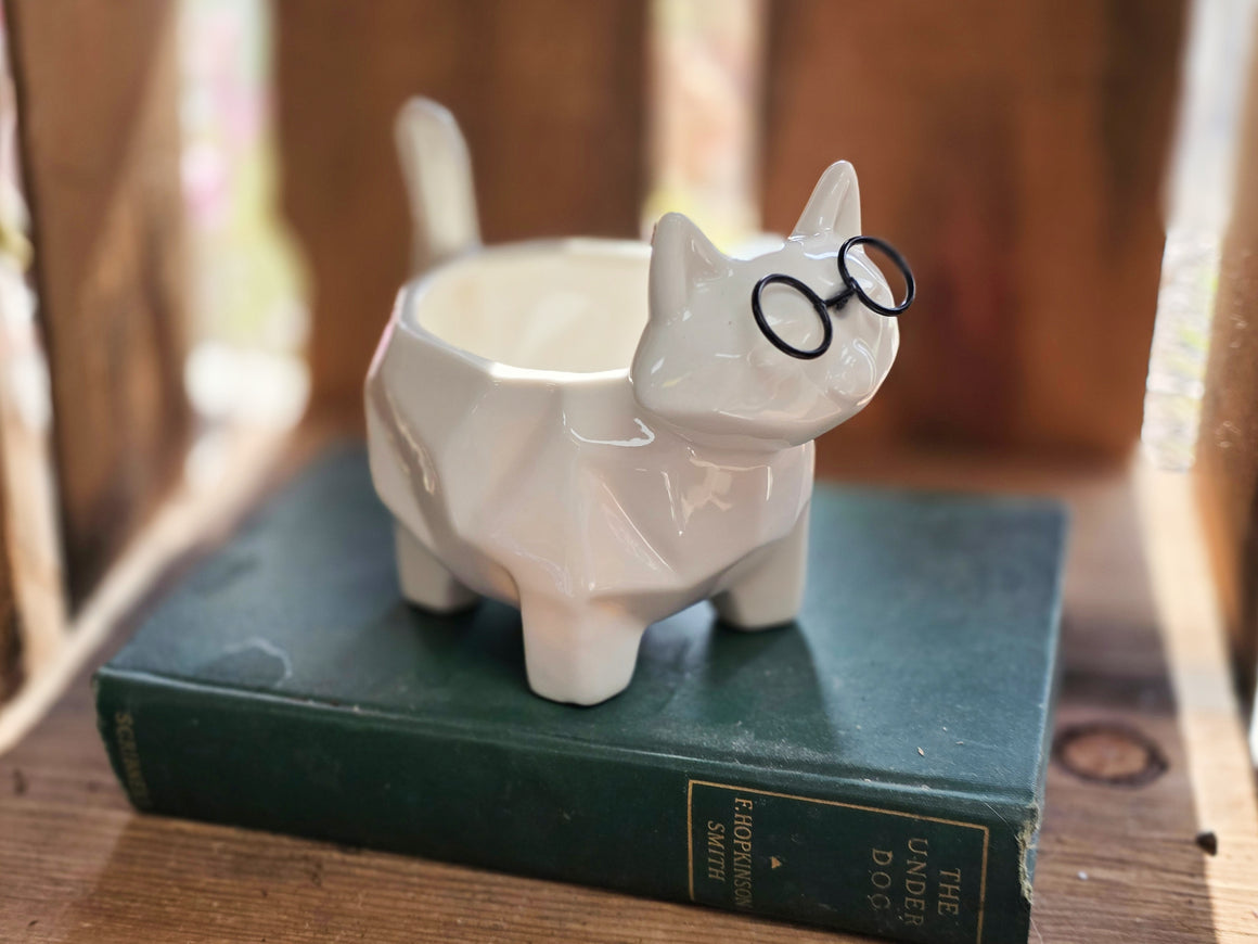 Ceramic Cat with Glasses Planter with Succulent