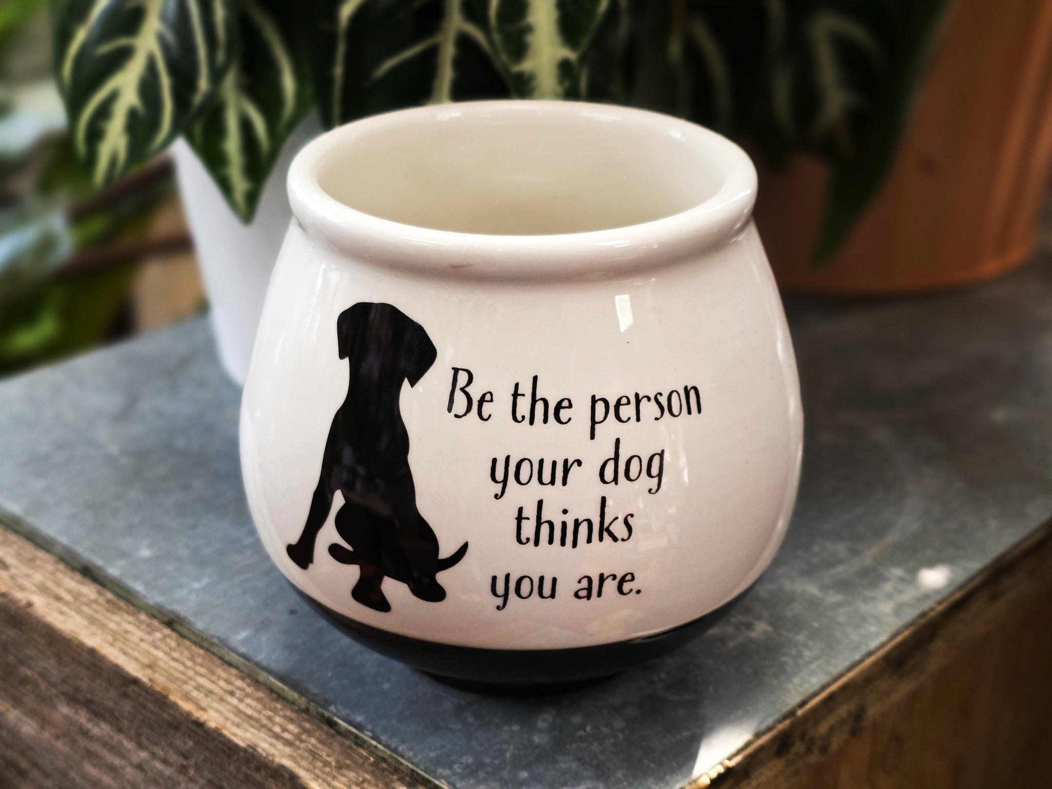 Dog Planter with Succulent or Plant (3 Designs)