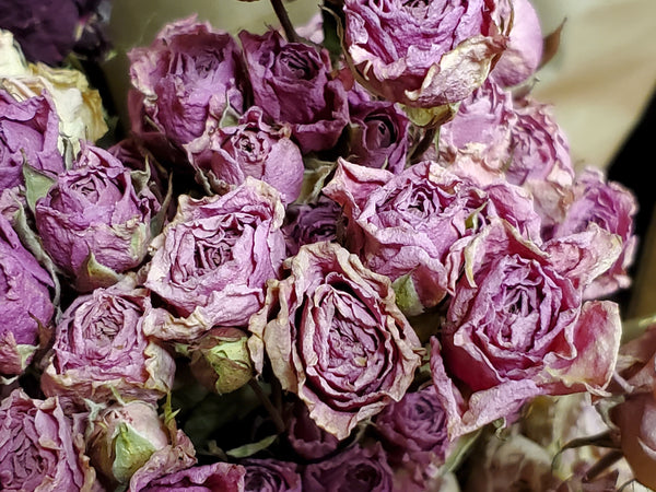 Dried Roses, Dark Pink (1 Dozen) - E's Florals