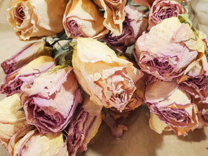 Dried Roses, Light Pink (1 Dozen)