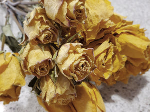 Dried Roses, Yellow/Pale Yellow (1 Dozen)