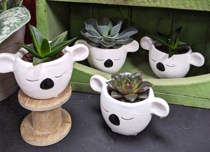 succulent animal pots Koala Ceramic Pot with Succulent