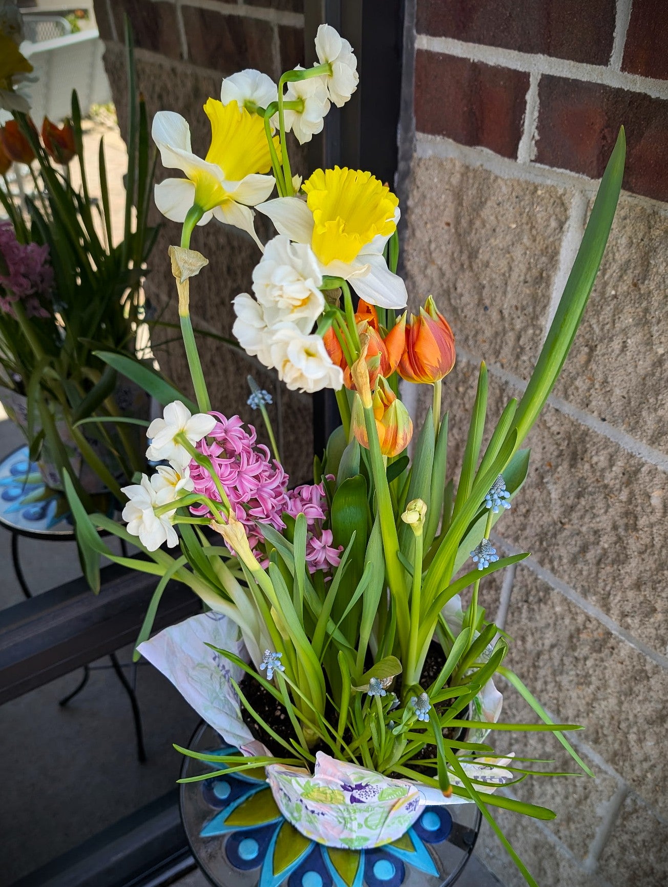 Spring Mix Bulb Garden