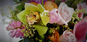 Dried Lavender & Daisies Bouquet_ The Shops at Mount Vernon