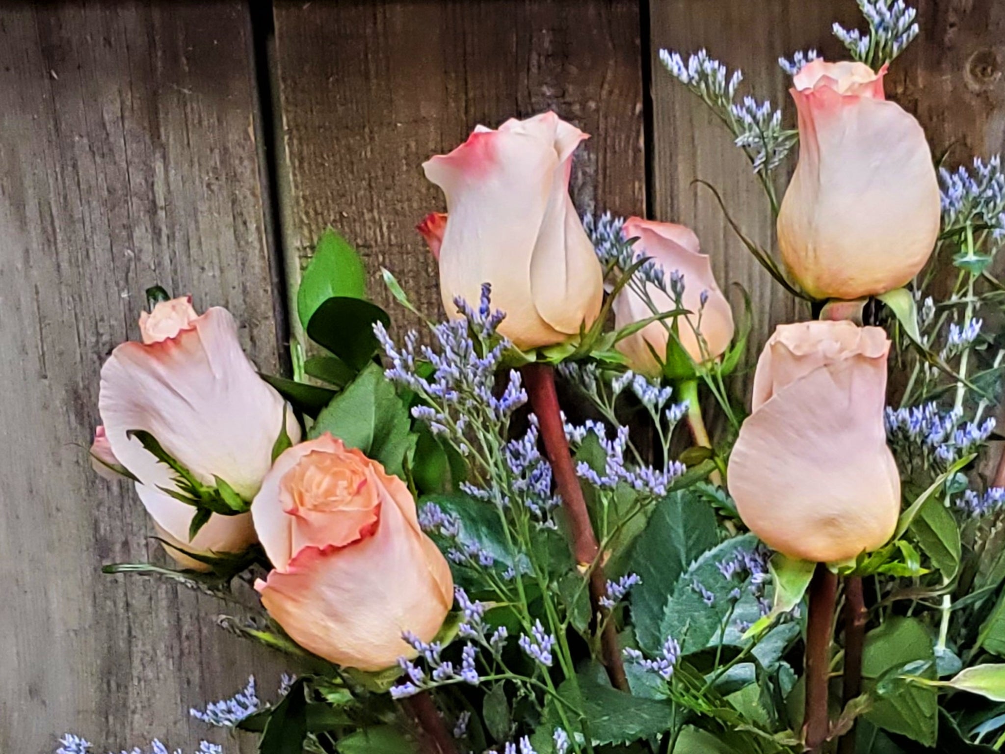 Roses, Long-Stemmed Half Dozen