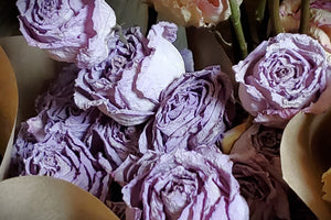 Dried Roses, Lavender Light Purple (1 Dozen)