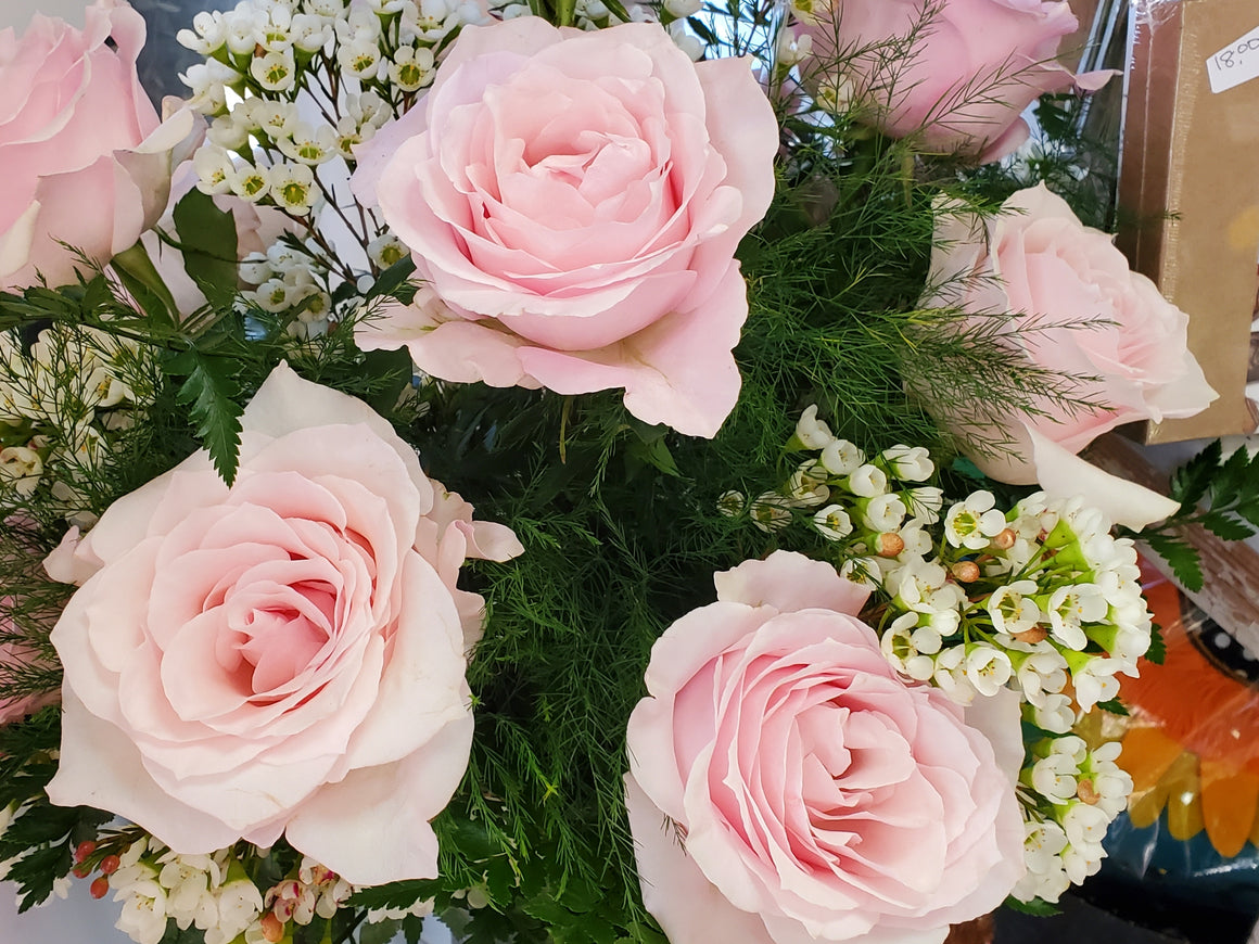 Roses, Long-Stemmed Half Dozen