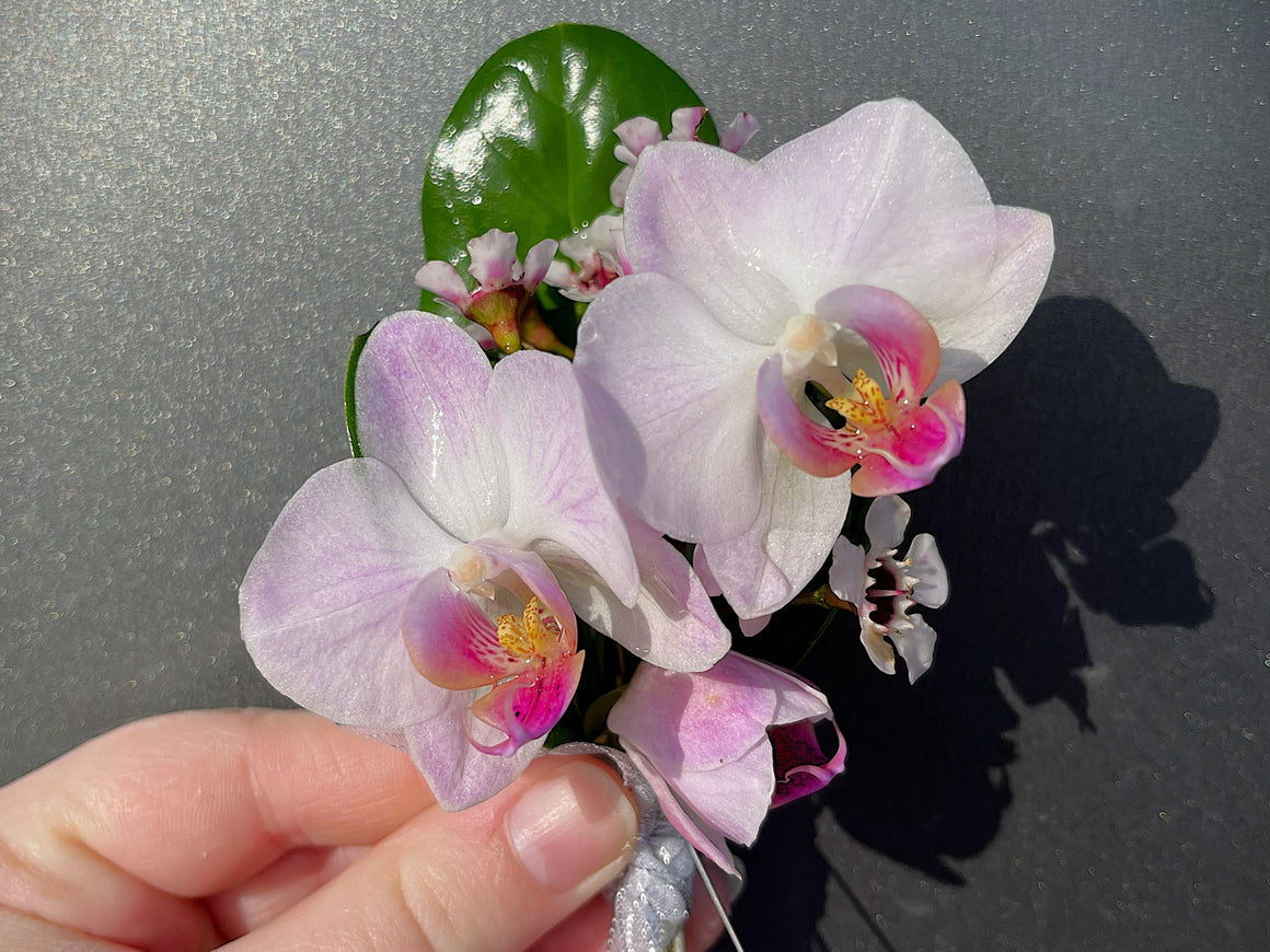 Orchid Boutonniere