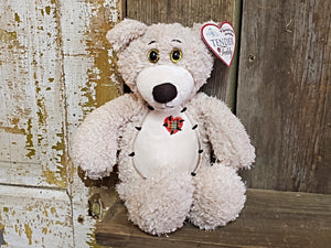 Plush, Stuffed Teddy Bear (12 inches)