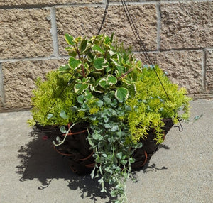 Hanging Flower Basket