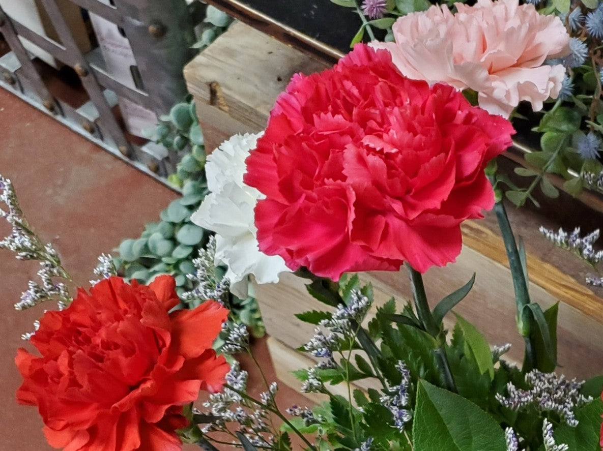 Pink Shades of Carnations Bouquet