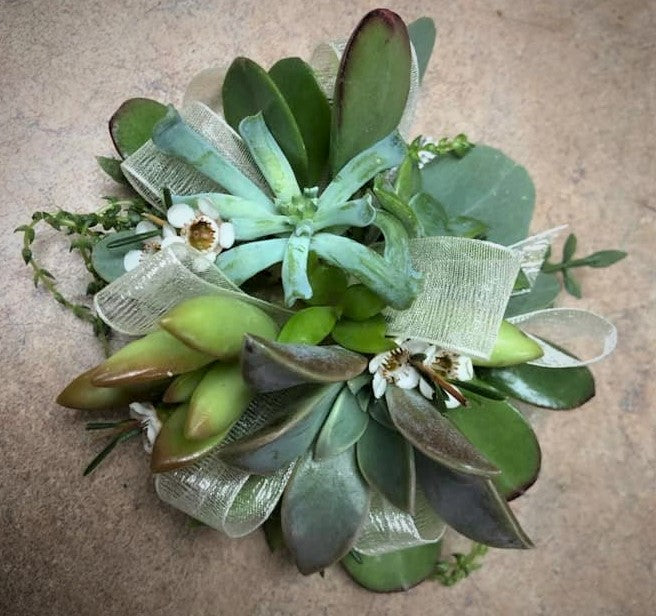 blue succulent corsage Succulent Corsage - Homecoming/Prom