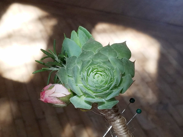 succulent prom bouquet Succulent Boutonniere - Homecoming/Prom