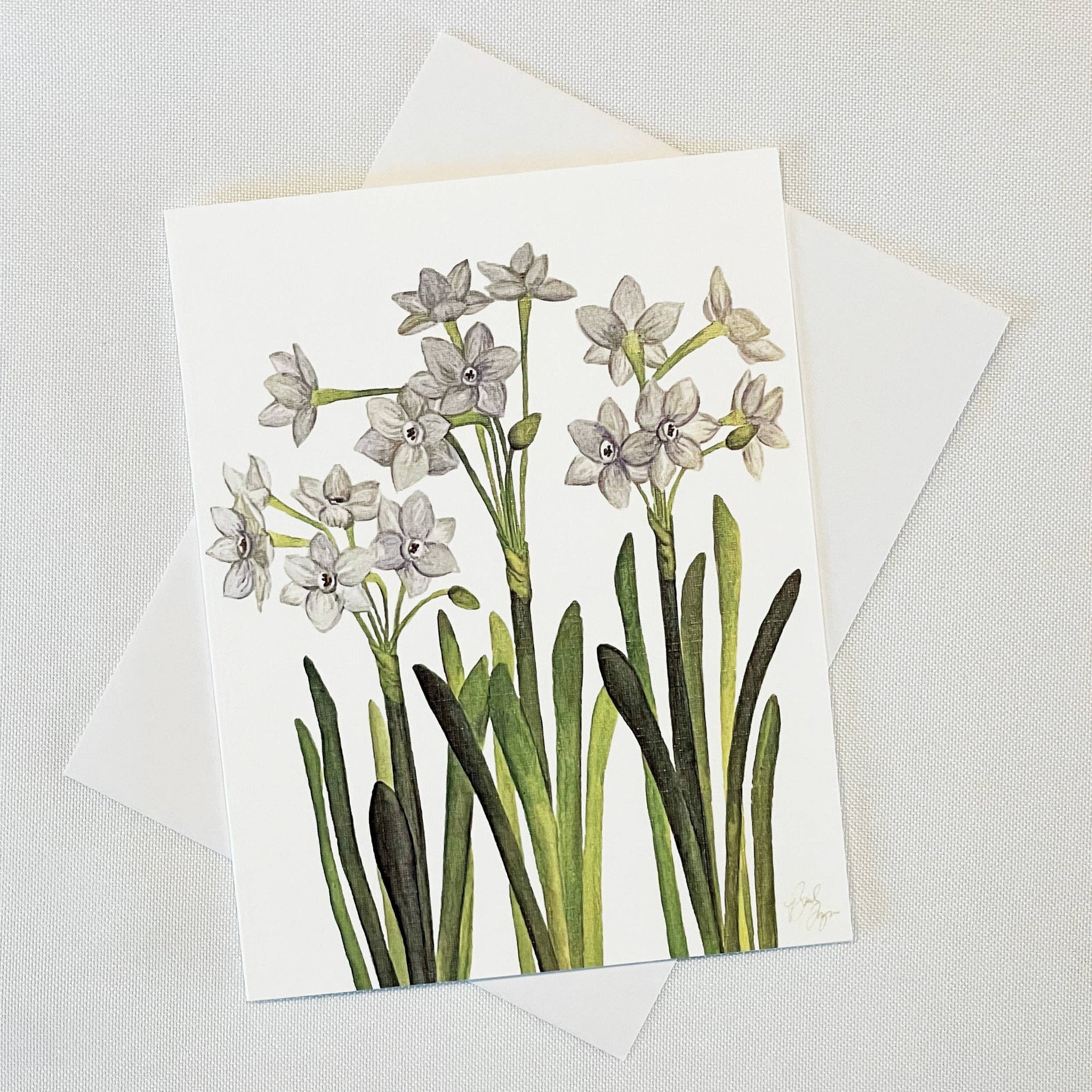 Paperwhites Greeting Card