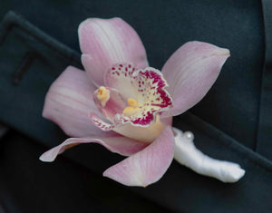 Orchid Boutonniere