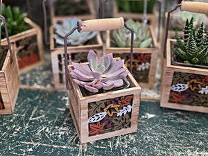 Wooden Cut-Out Container with Succulent