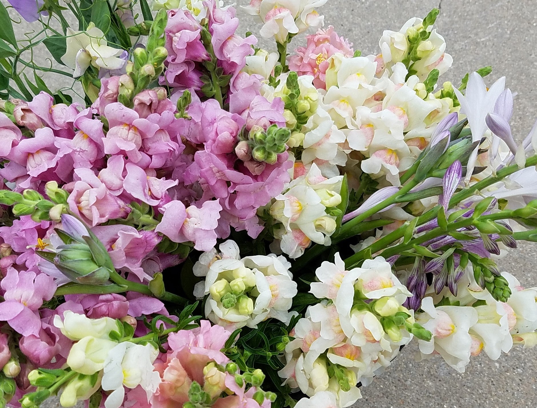 Bulk Flowers and Greenery, E's Florals, Solon, Iowa City