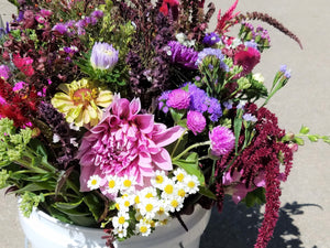 Bulk Flower Bucket, Florist's Choice