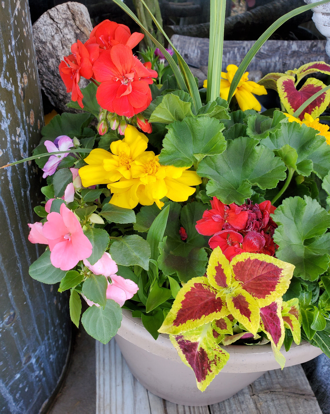 Summer Flower/Plant Container, Florist's Choice
