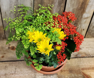Spring Flower Patio Planter, Florist's Choice
