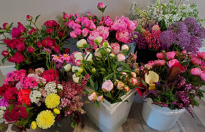 Premium Local Peony & Mixed Flower Bouquets