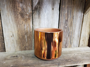 Copper Colored Planter with 4" Plant