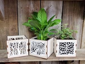 Wood Cut-Out Container (with or without 4" Plant)
