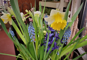 Spring Mix Bulb Garden