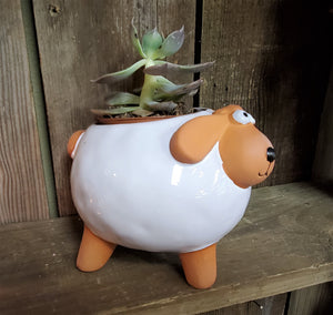 Sheep Dog Ceramic Planter (with or without Plant)