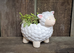 Sheep Ceramic Planter (with or without Plant)