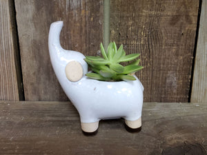 Elephant Ceramic Pot (with or without Plant)