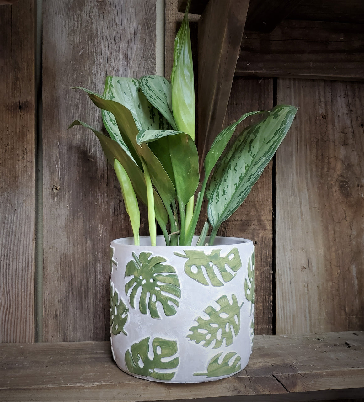 Tropical Leaf Cement Planter (with or without Plant)