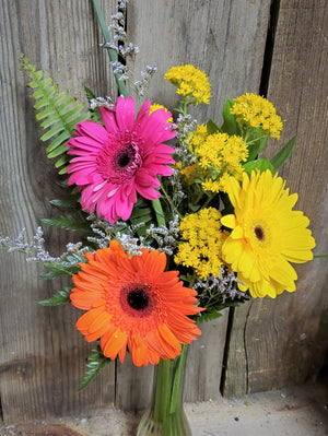 Gerbera Daisies in Bud Vase