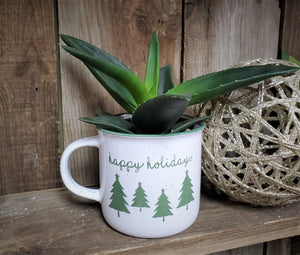 Green Plant in Holiday Container