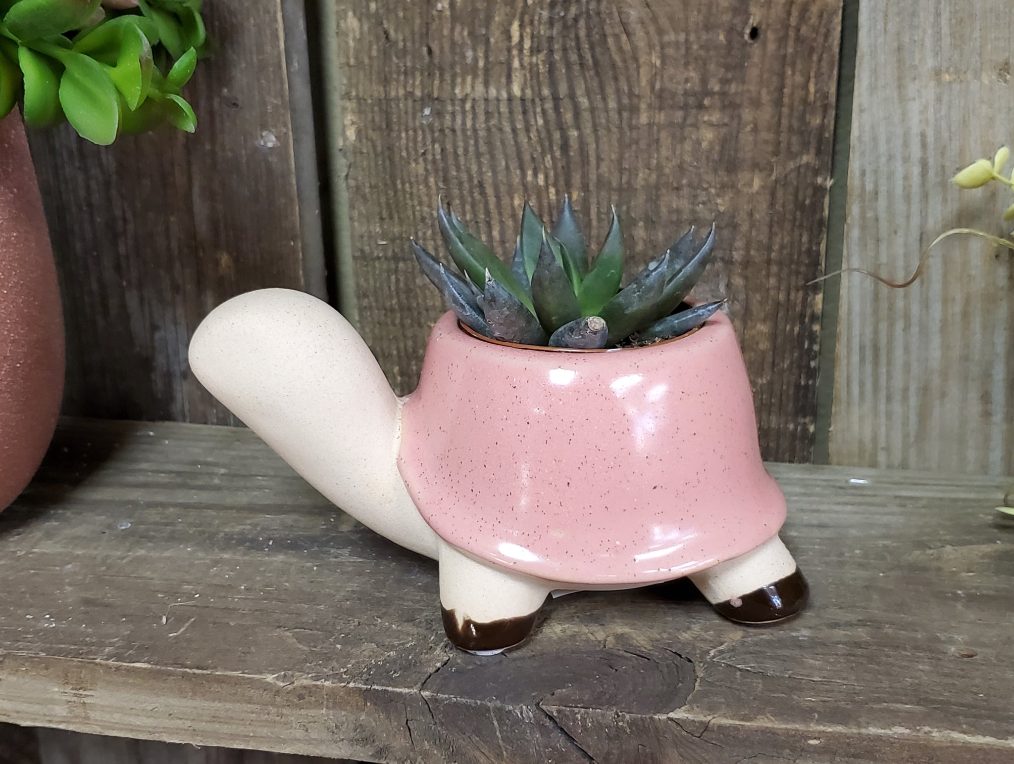 cute succulent plant pots Turtle Ceramic Pot with Succulent