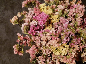 Dried Statice Flowers, Apricot - Sunset Mix