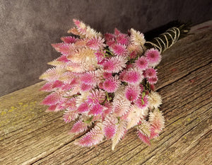 Dried Celosia Flowers, Flamingo Feather