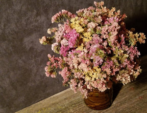 Dried Statice Flowers, Apricot - Sunset Mix