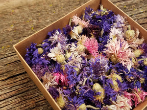 Dried Bachelor Button Flowers