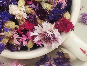 Dried Bachelor Button Flowers